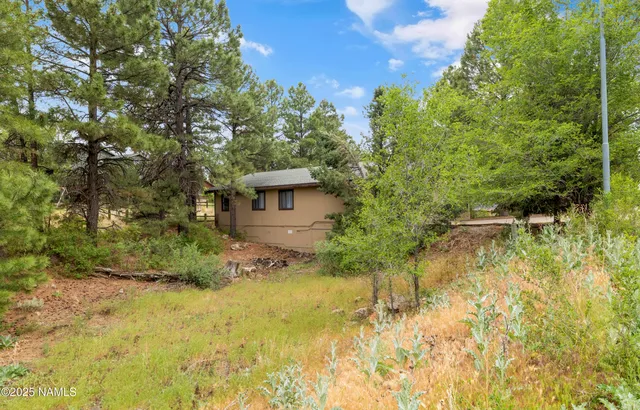a view of a back yard of the house
