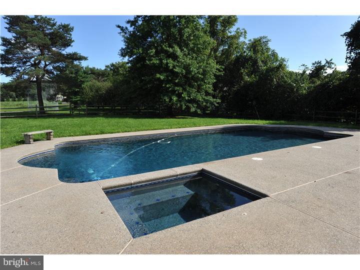 312 Reitnour Road Spring City, PA 19475 - Photo 17 of 22 Pool
