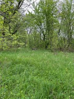 Tbd Calico Trail Motley, MN 56466 - Photo 2 of 33