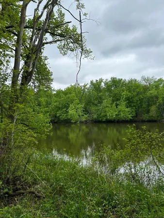 $111,449 | Tbd Calico Trail, Motley, MN 56466