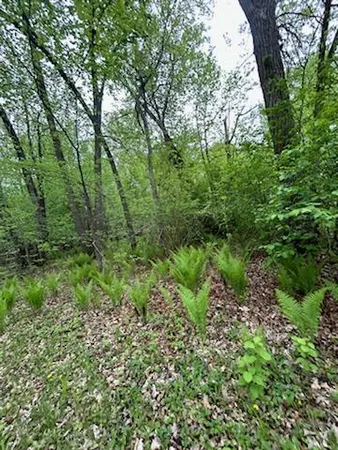 $111,449 | Tbd Calico Trail, Motley, MN 56466