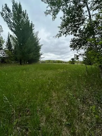 $111,449 | Tbd Calico Trail, Motley, MN 56466