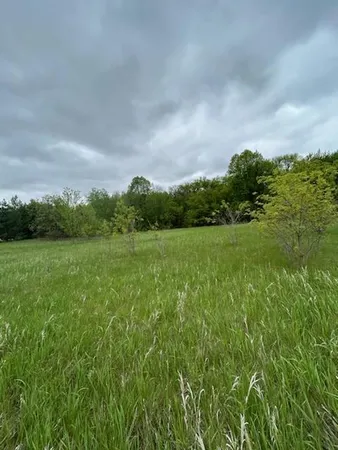 $111,449 | Tbd Calico Trail, Motley, MN 56466