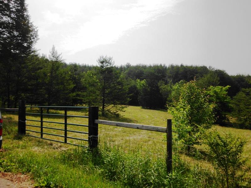 Curtis Road, Unit 1948L Tellico Plains, TN 37385 - Photo 1 of 21 MLS 780446