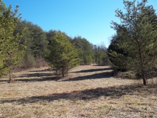 Curtis Road, Unit 1948L Tellico Plains, TN 37385 - Photo 16 of 21 Additional Photo
