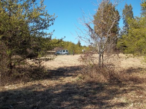Curtis Road, Unit 1948L Tellico Plains, TN 37385 - Photo 17 of 21 Additional Photo