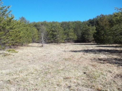 Curtis Road, Unit 1948L Tellico Plains, TN 37385 - Photo 20 of 21 Additional Photo