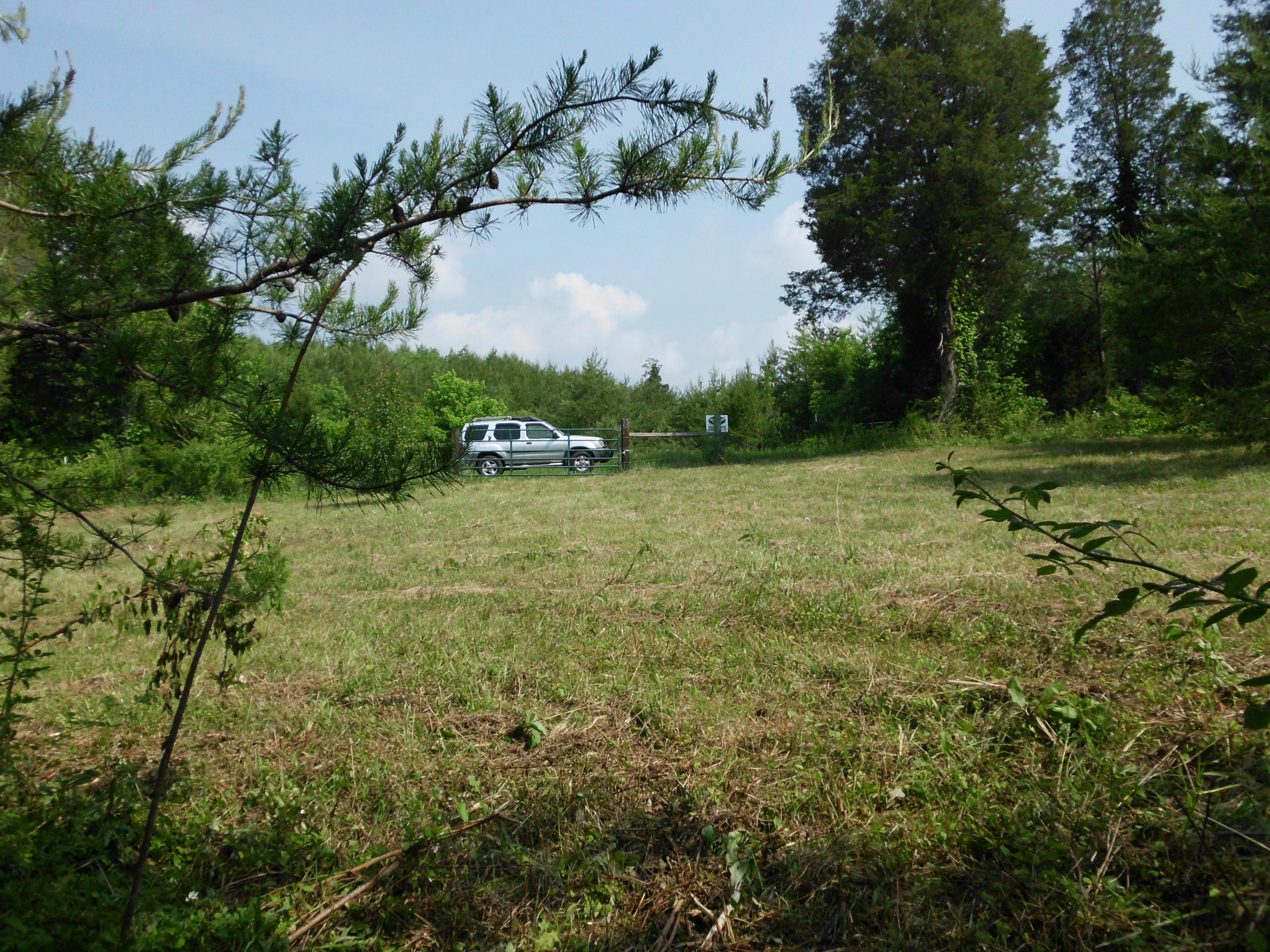 Curtis Road, Unit 1948L Tellico Plains, TN 37385 - Photo 2 of 21 SANY0013