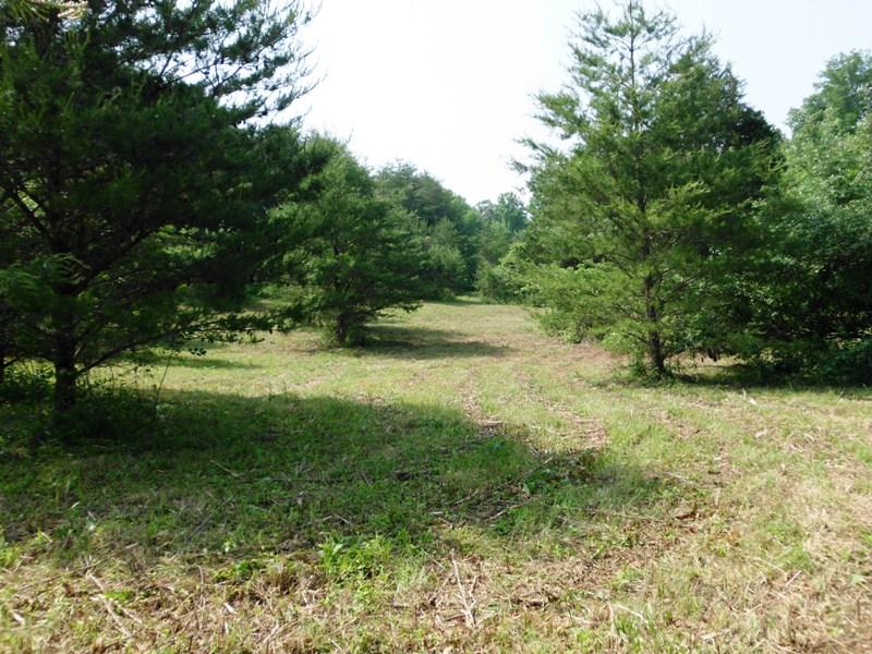 Curtis Road, Unit 1948L Tellico Plains, TN 37385 - Photo 3 of 21 SANY0014