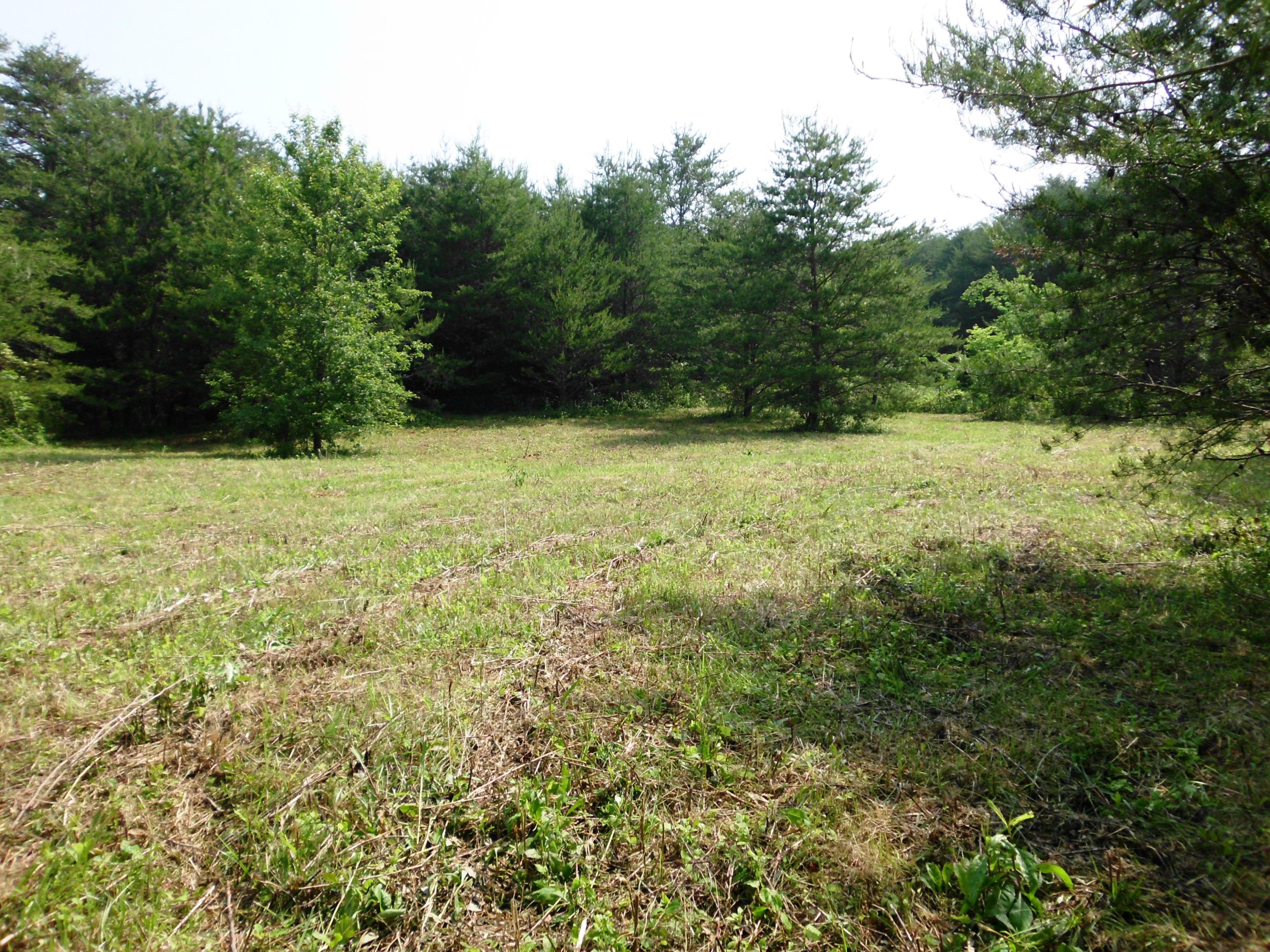 Curtis Road, Unit 1948L Tellico Plains, TN 37385 - Photo 4 of 21 SANY0015