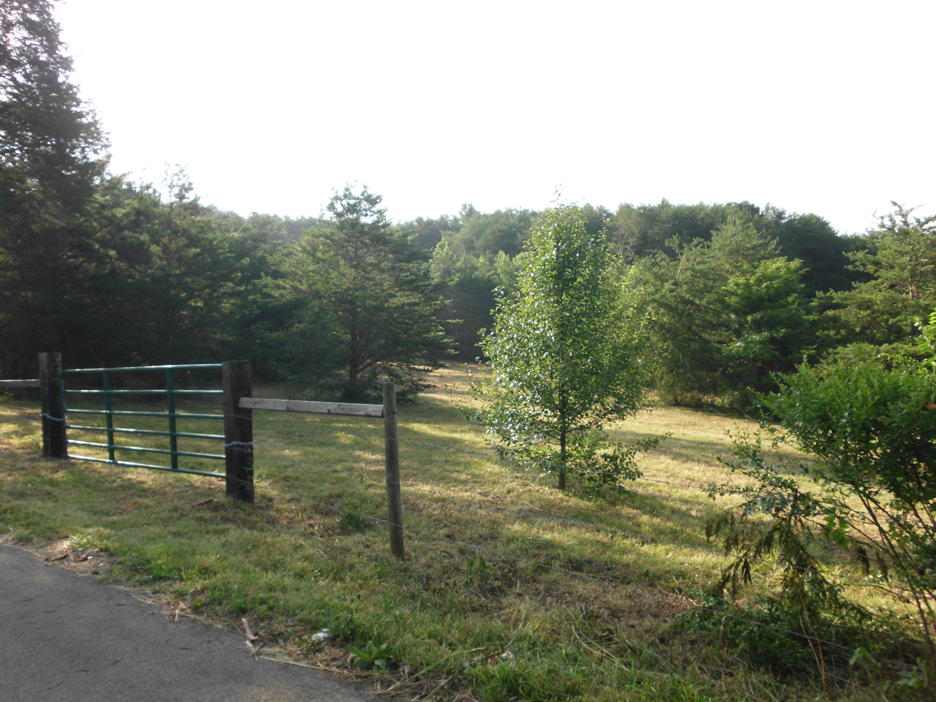 Curtis Road, Unit 1948L Tellico Plains, TN 37385 - Photo 6 of 21 SANY0071