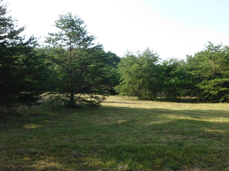 Curtis Road, Unit 1948L Tellico Plains, TN 37385 - Photo 8 of 21 SANY0073