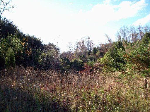 Curtis Road, Unit 1948L Tellico Plains, TN 37385 - Photo 10 of 21 Additional Photo