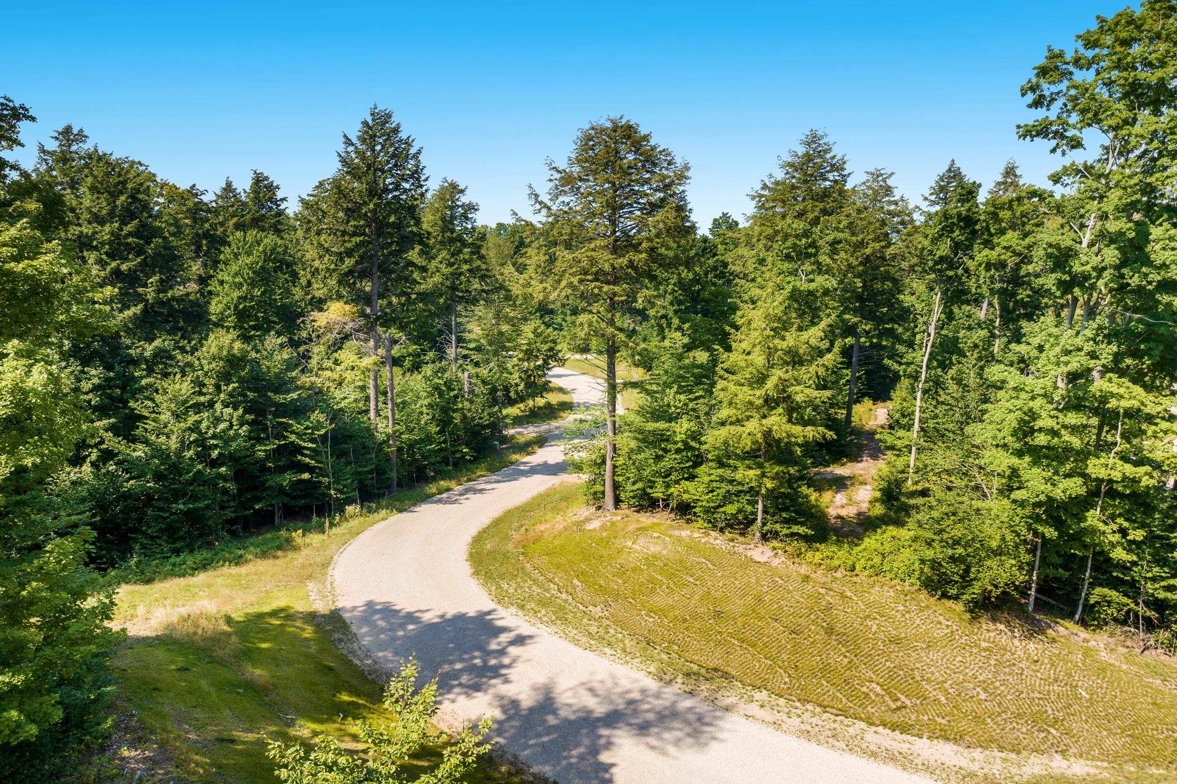 0 Park Ridge, Unit LOT: 8 Frankfort, MI 49635 - Photo 4 of 8