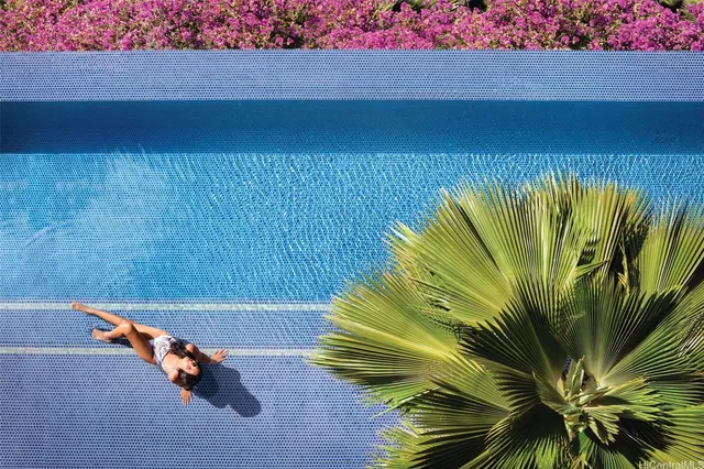 a view of a room with a plant