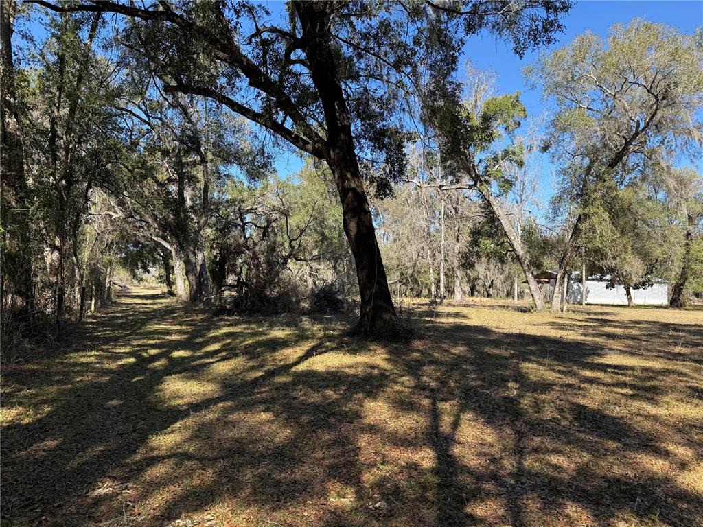 18630 Bradshaw Road Dade City, FL 33523 - Photo 13 of 43 a view of a yard with large trees