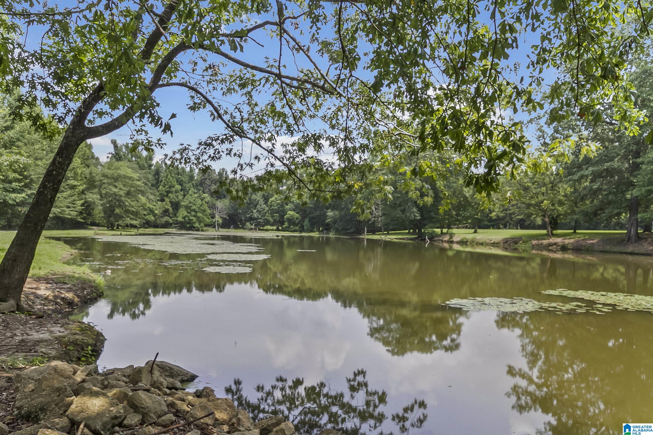 13615 Riverbend Road Moundville, AL 35474 - Photo 20 of 33