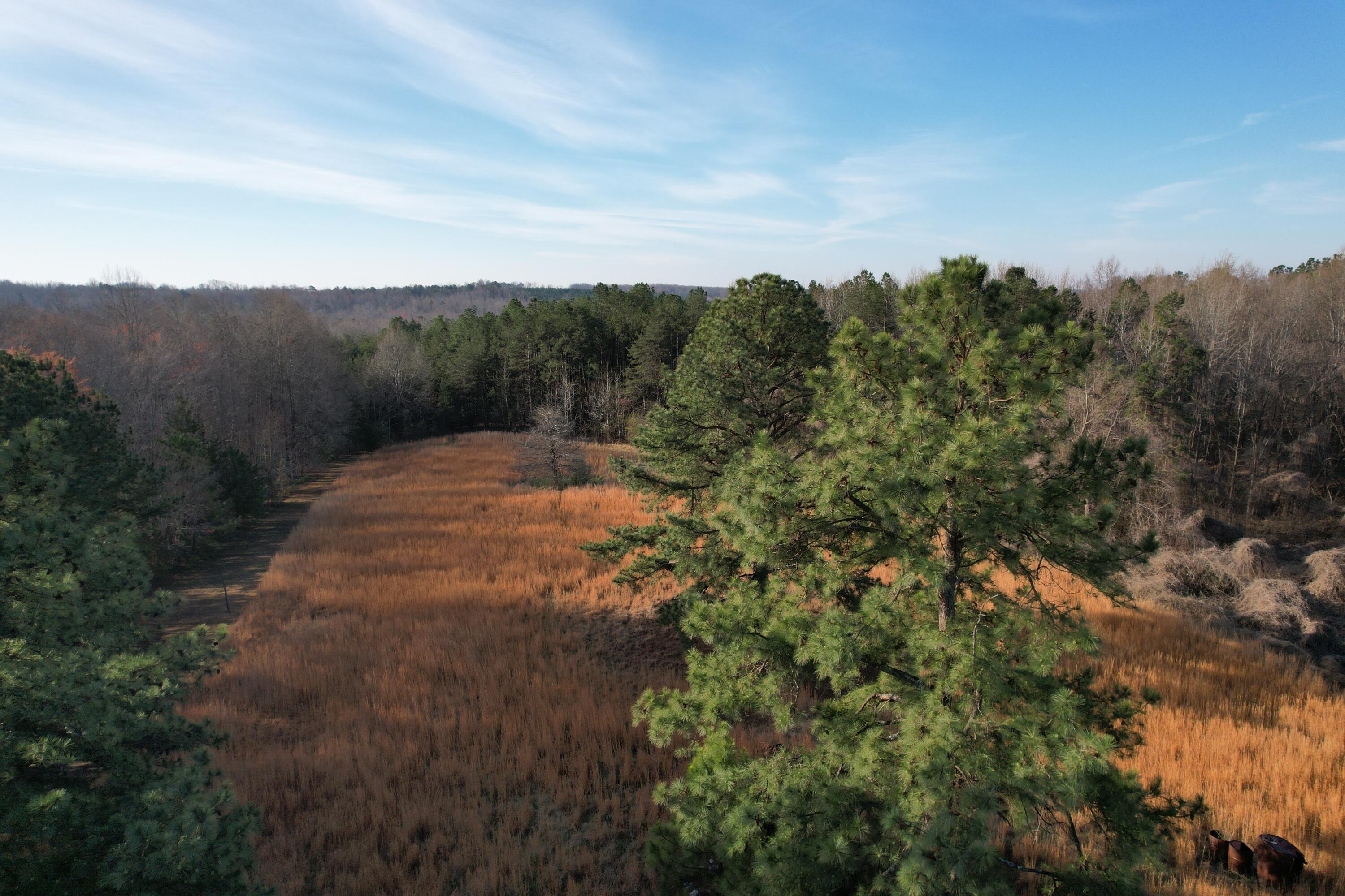 15796 East Gretna Road Gretna, VA 24557 - Photo 17 of 63 DJI_0448