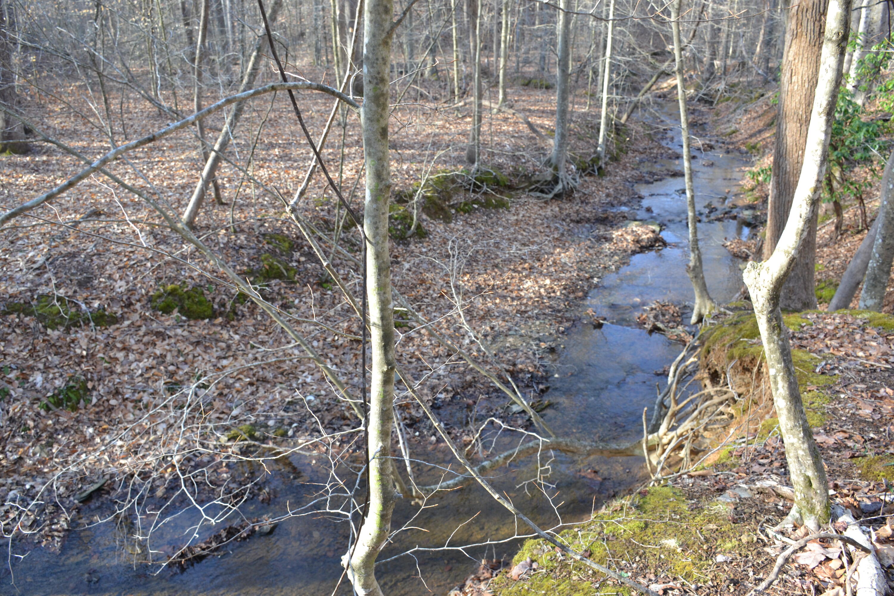 15796 East Gretna Road Gretna, VA 24557 - Photo 2 of 63 2