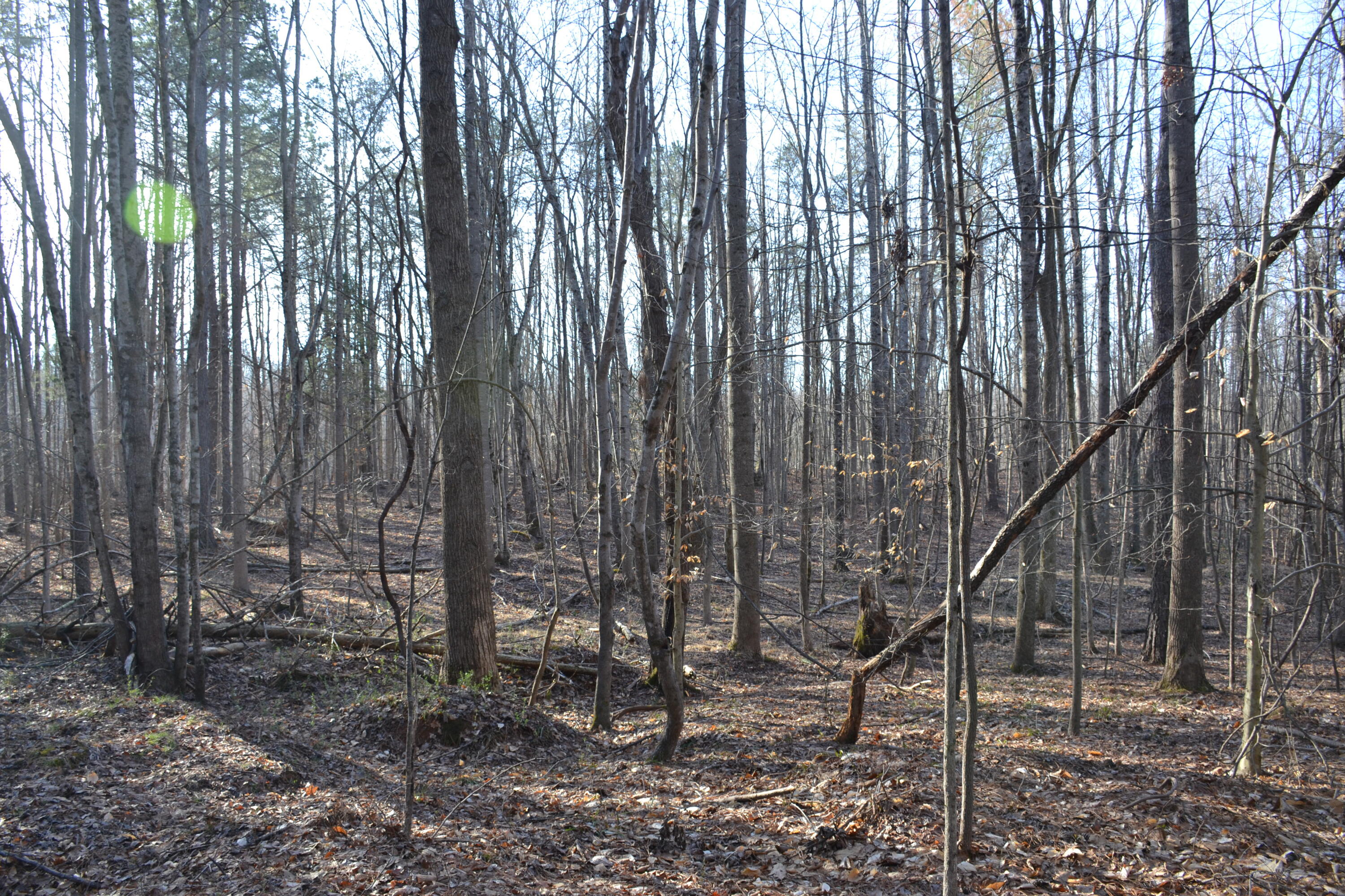 15796 East Gretna Road Gretna, VA 24557 - Photo 25 of 63 a view of outdoor space with chairs
