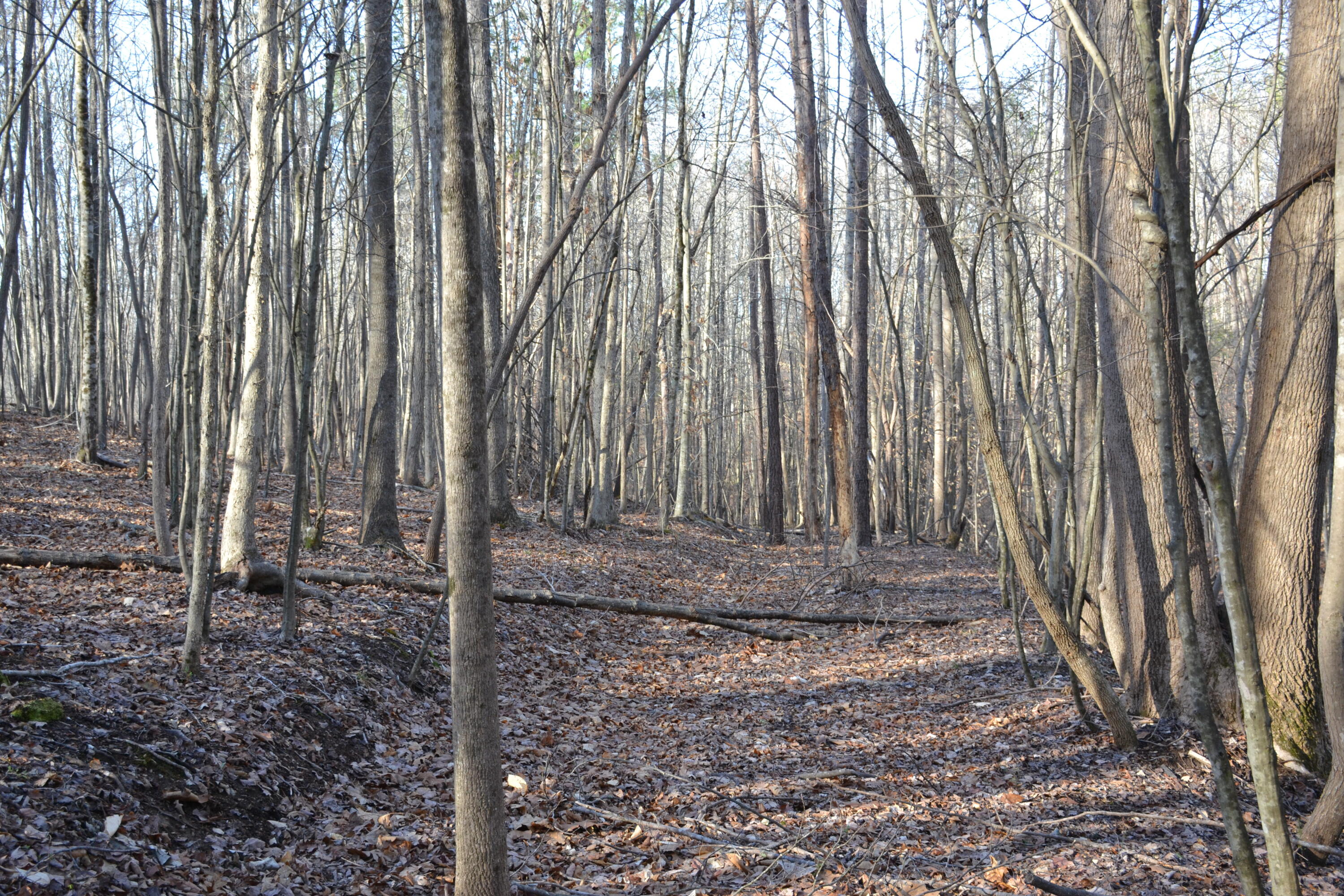 15796 East Gretna Road Gretna, VA 24557 - Photo 27 of 63 a view of a backyard