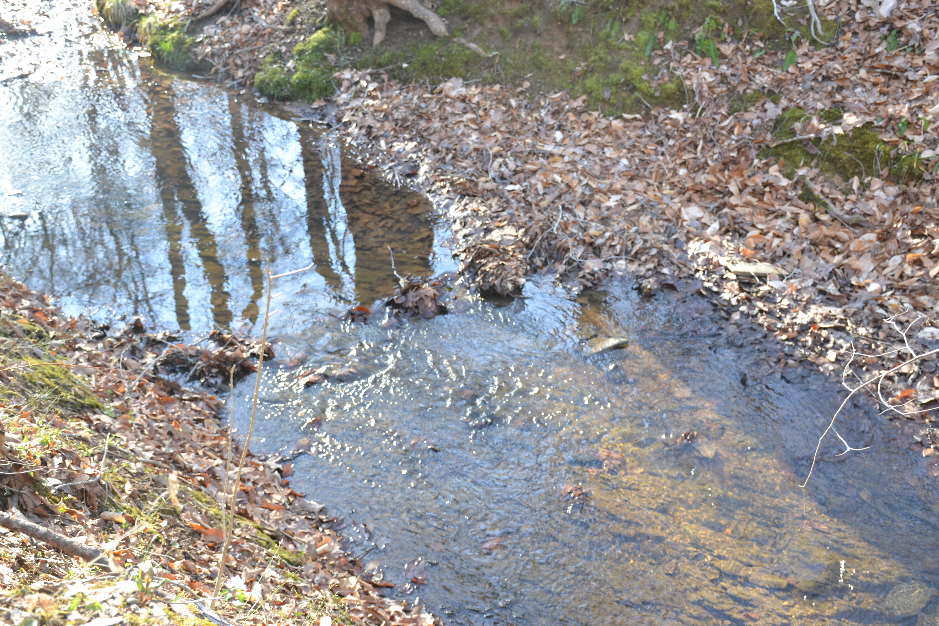 15796 East Gretna Road Gretna, VA 24557 - Photo 31 of 63 DSC_0018