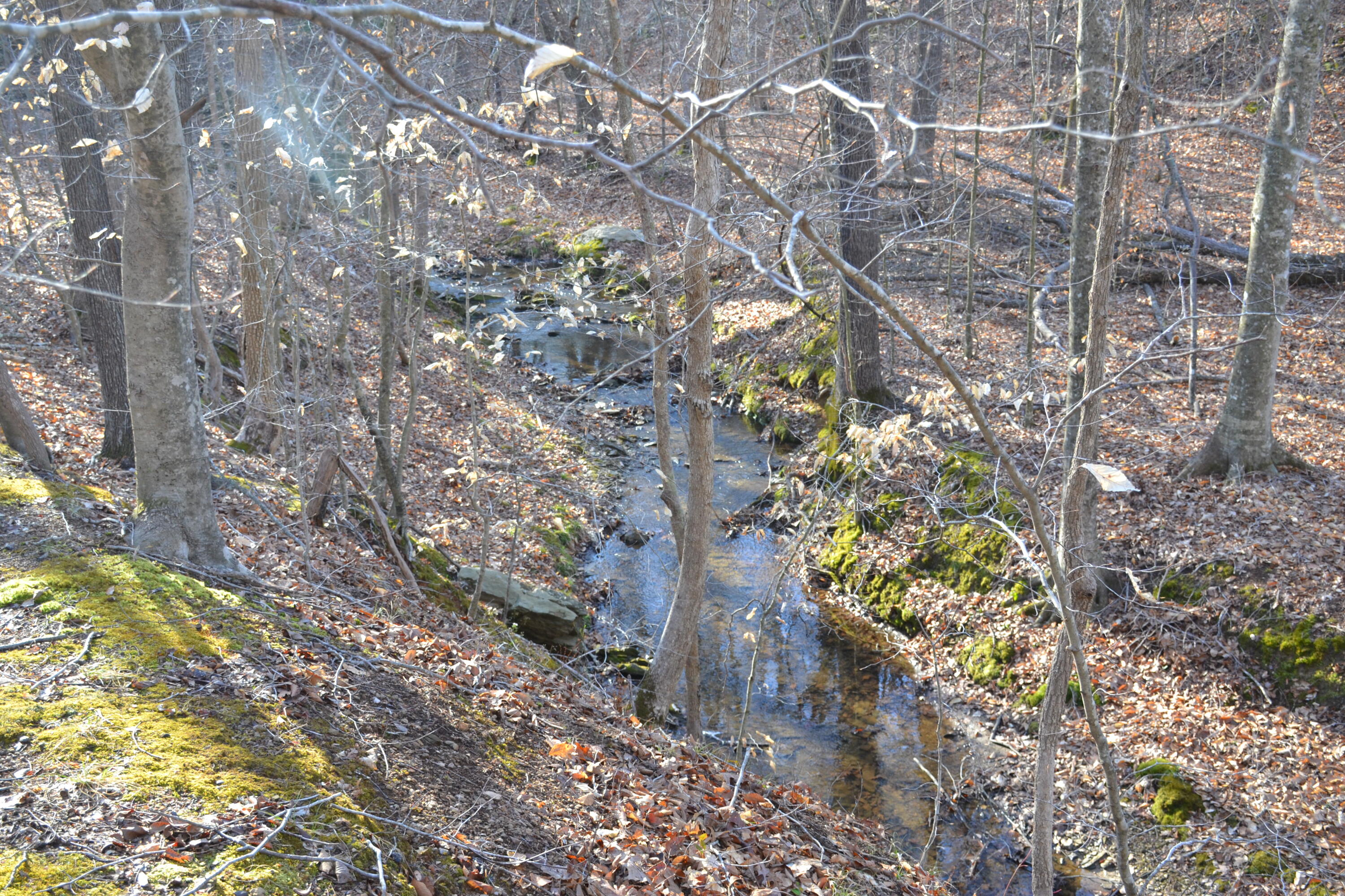 15796 East Gretna Road Gretna, VA 24557 - Photo 32 of 63 DSC_0019