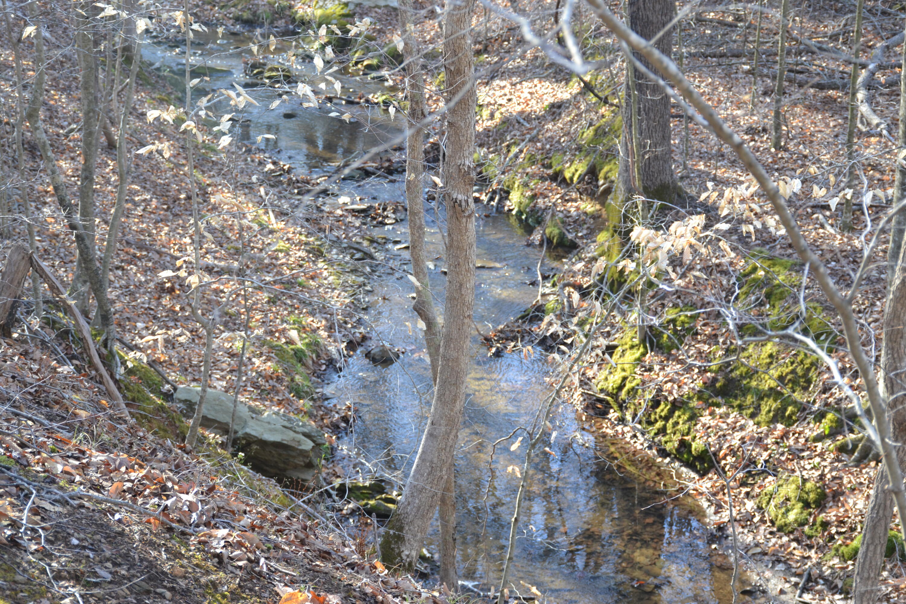 15796 East Gretna Road Gretna, VA 24557 - Photo 33 of 63 DSC_0020