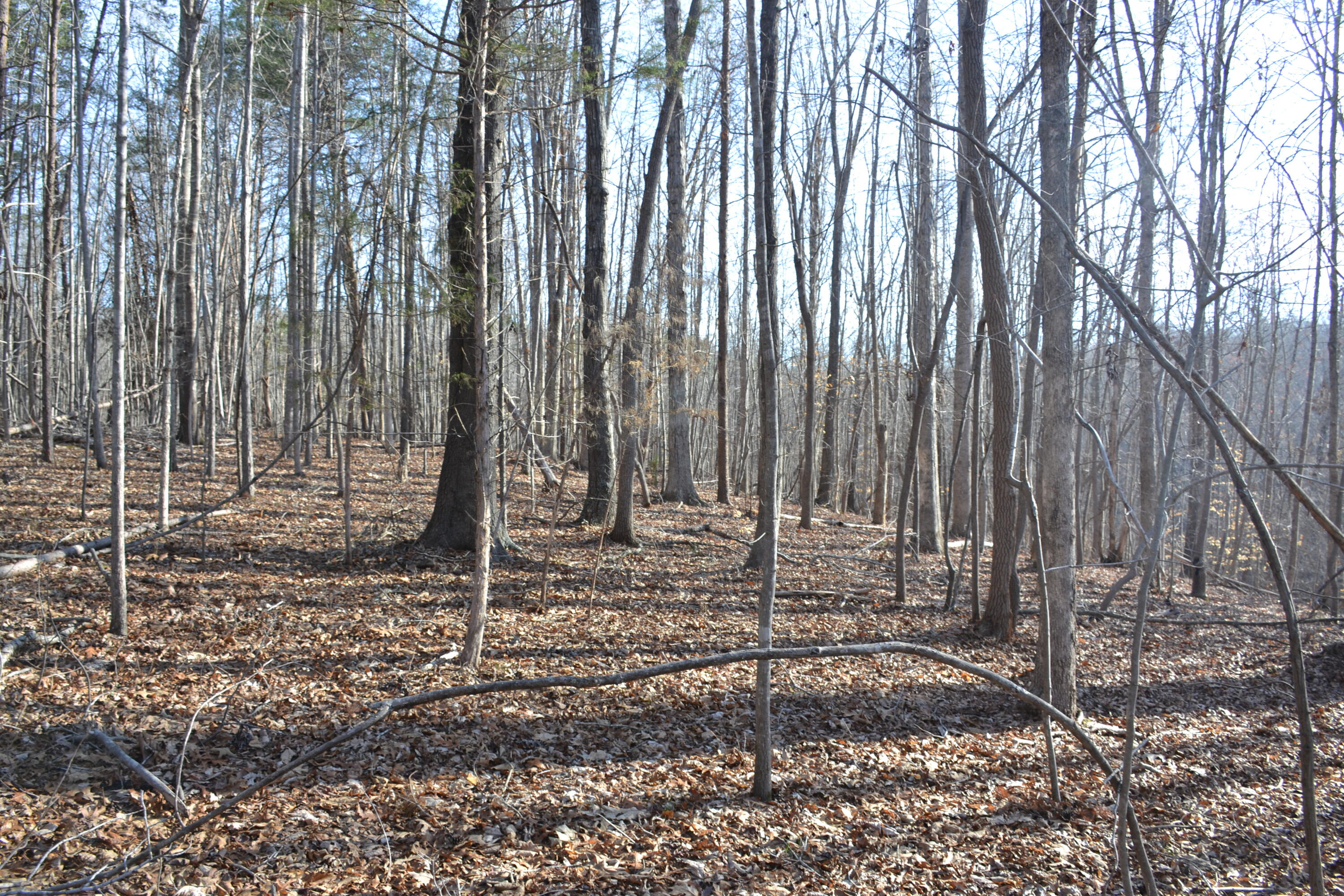 15796 East Gretna Road Gretna, VA 24557 - Photo 48 of 63 DSC_0039