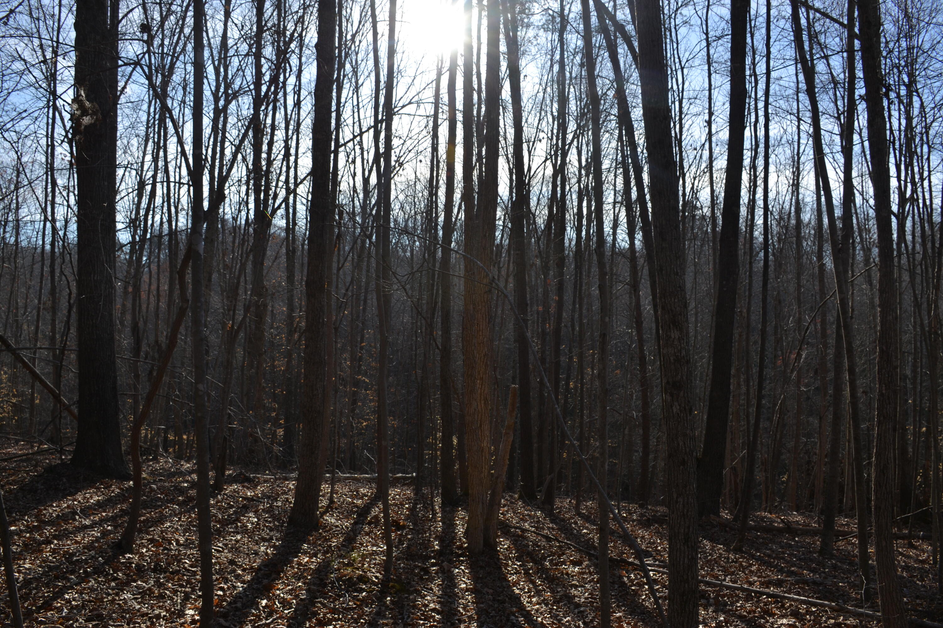 15796 East Gretna Road Gretna, VA 24557 - Photo 49 of 63 DSC_0040