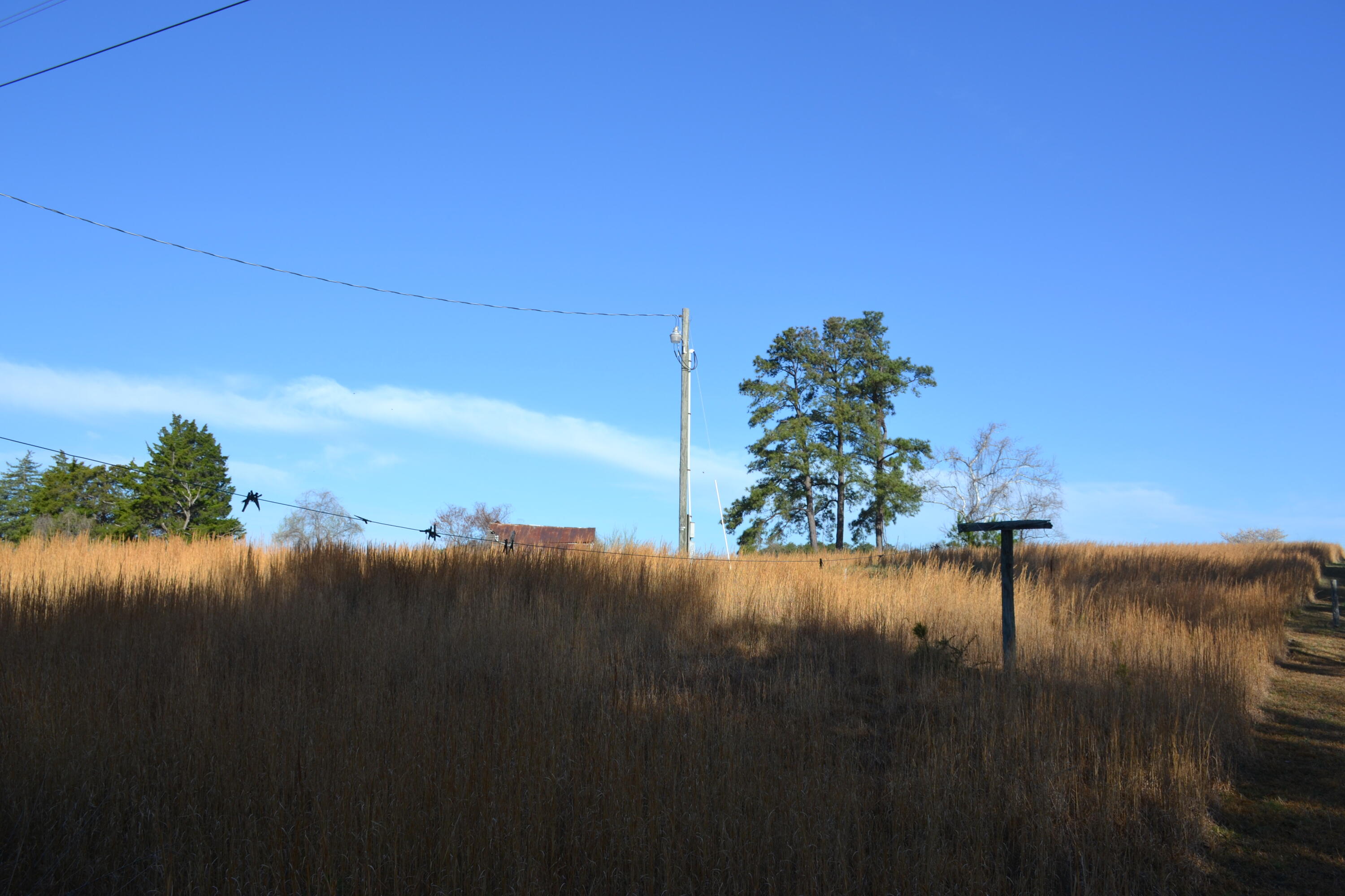 15796 East Gretna Road Gretna, VA 24557 - Photo 60 of 63 DSC_0054