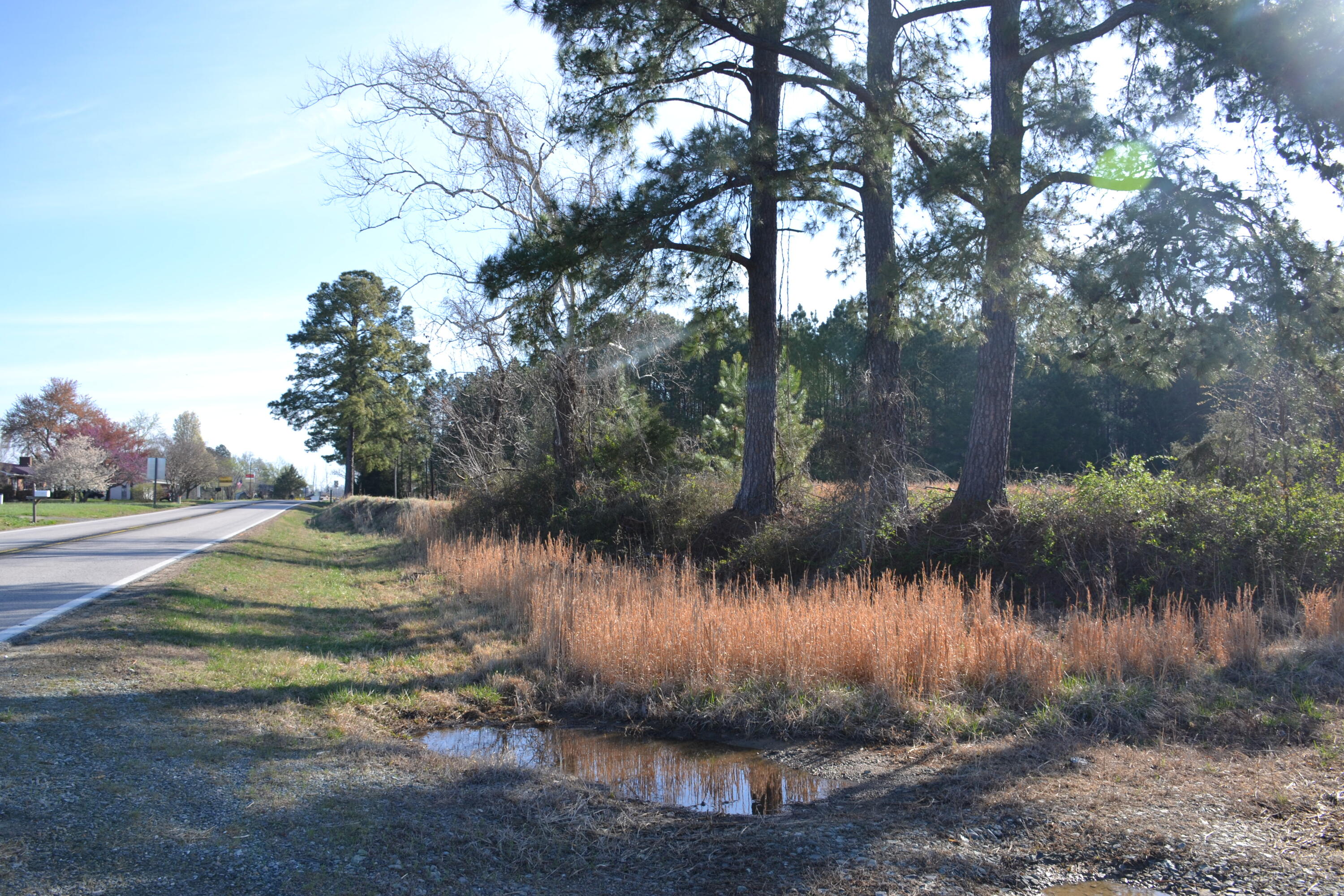15796 East Gretna Road Gretna, VA 24557 - Photo 61 of 63 DSC_0055