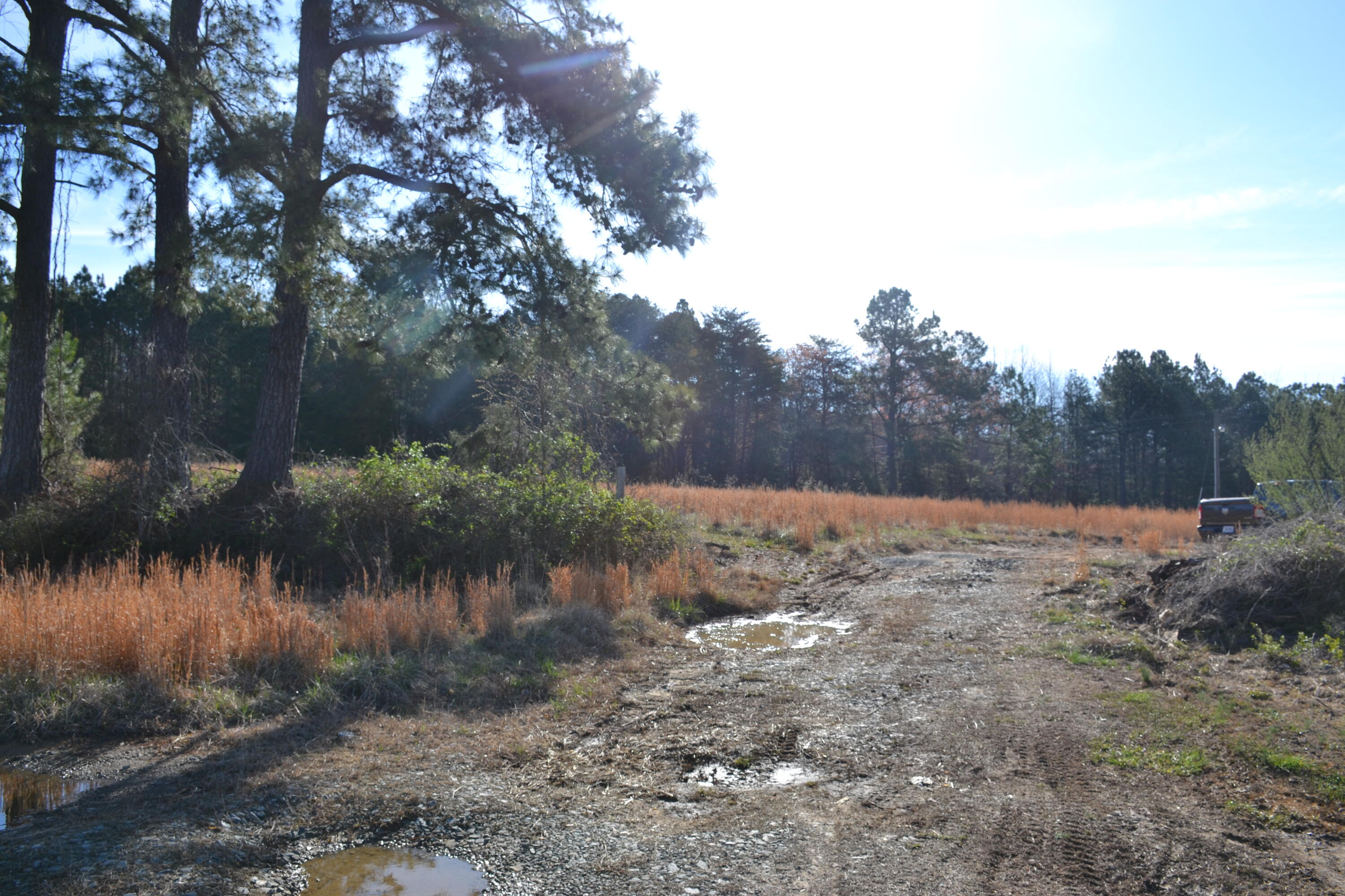 15796 East Gretna Road Gretna, VA 24557 - Photo 62 of 63 a view of a yard