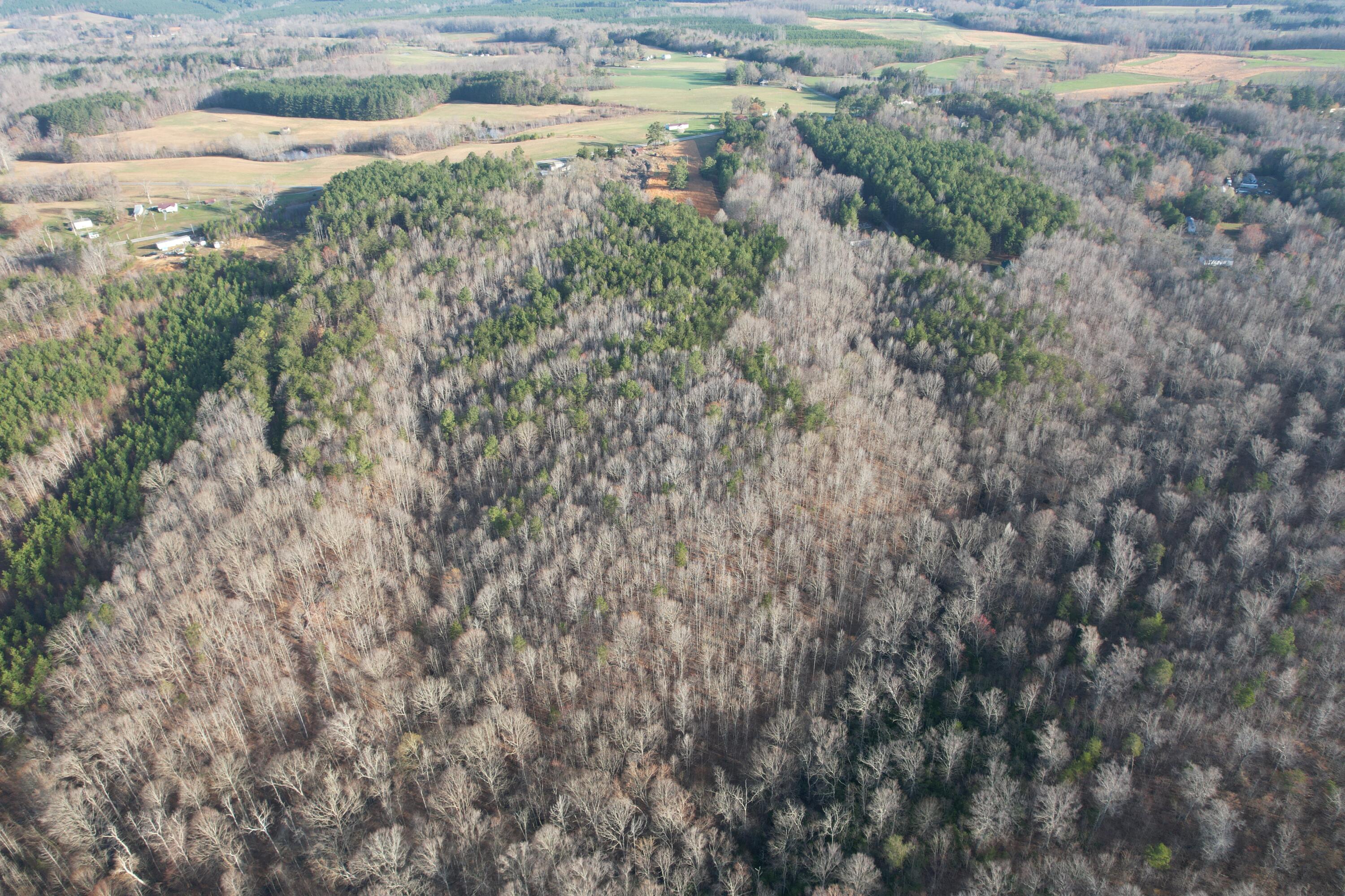 15796 East Gretna Road Gretna, VA 24557 - Photo 8 of 63 a view of a lake with lots of trees