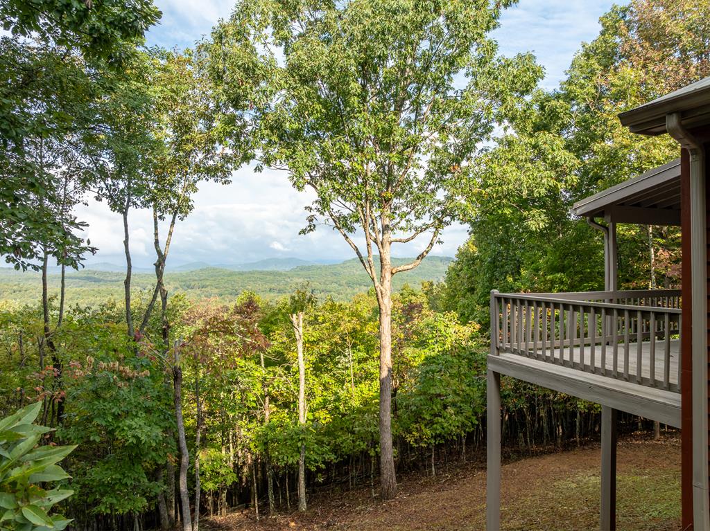 175 Oak Ledge Road Morganton, GA 30560 - Photo 60 of 63 Gallery Image 60