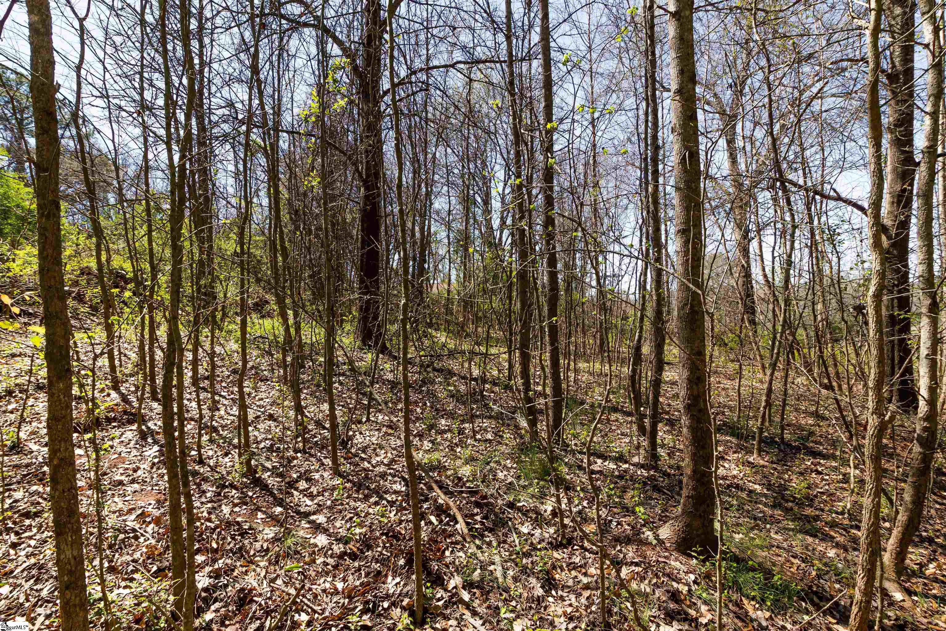 2204 Old Pendleton Road Easley, SC 29642 - Photo 8 of 9 Gallery Image 8