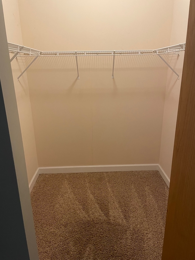 41 East 8th Street, Unit 1304 Chicago, IL 60605 - Photo 14 of 18