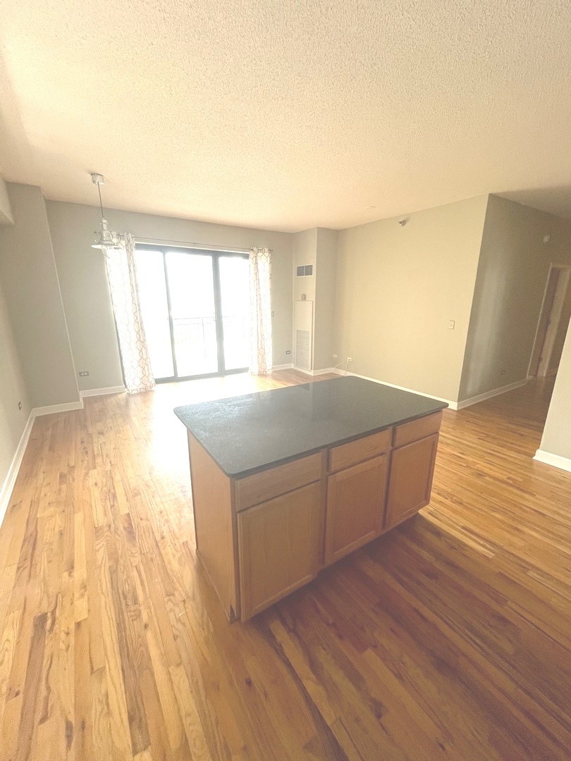 41 East 8th Street, Unit 1304 Chicago, IL 60605 - Photo 6 of 18