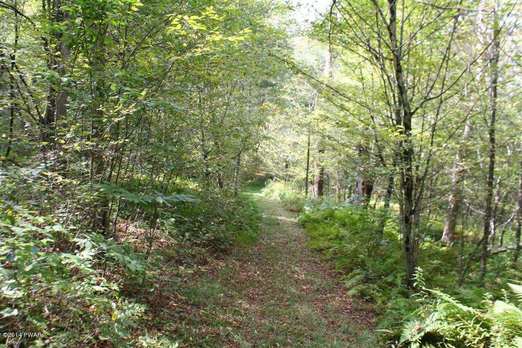 94 Hathaway Road Equinunk, PA 18417 - Photo 8 of 19