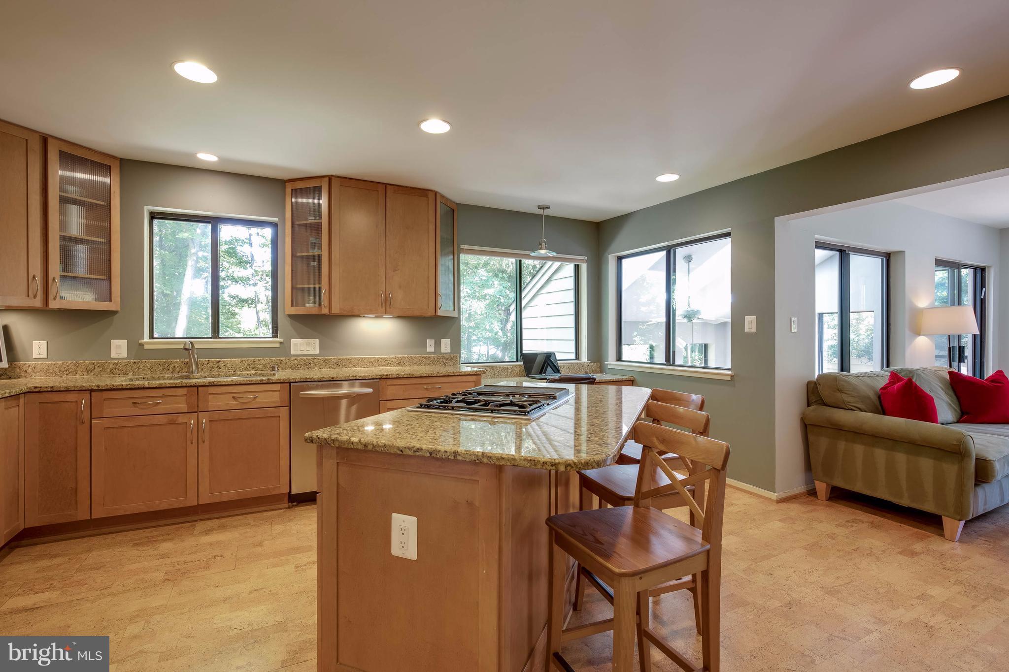 11029 Solaridge Drive Reston, VA 20191 - Photo 3 of 30 Kitchen