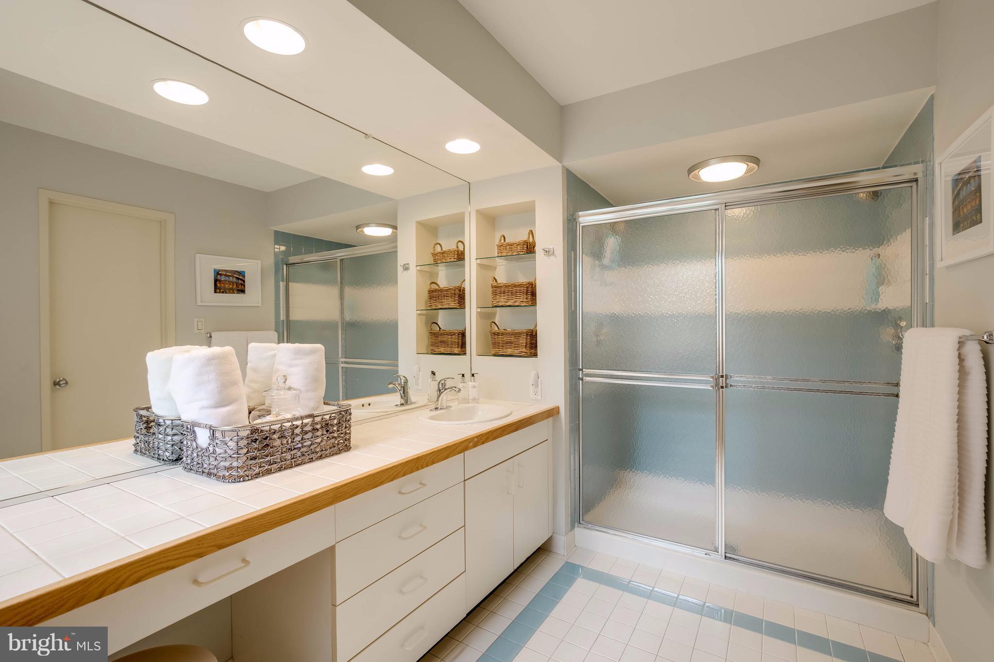 11029 Solaridge Drive Reston, VA 20191 - Photo 24 of 30 Bath (Master)