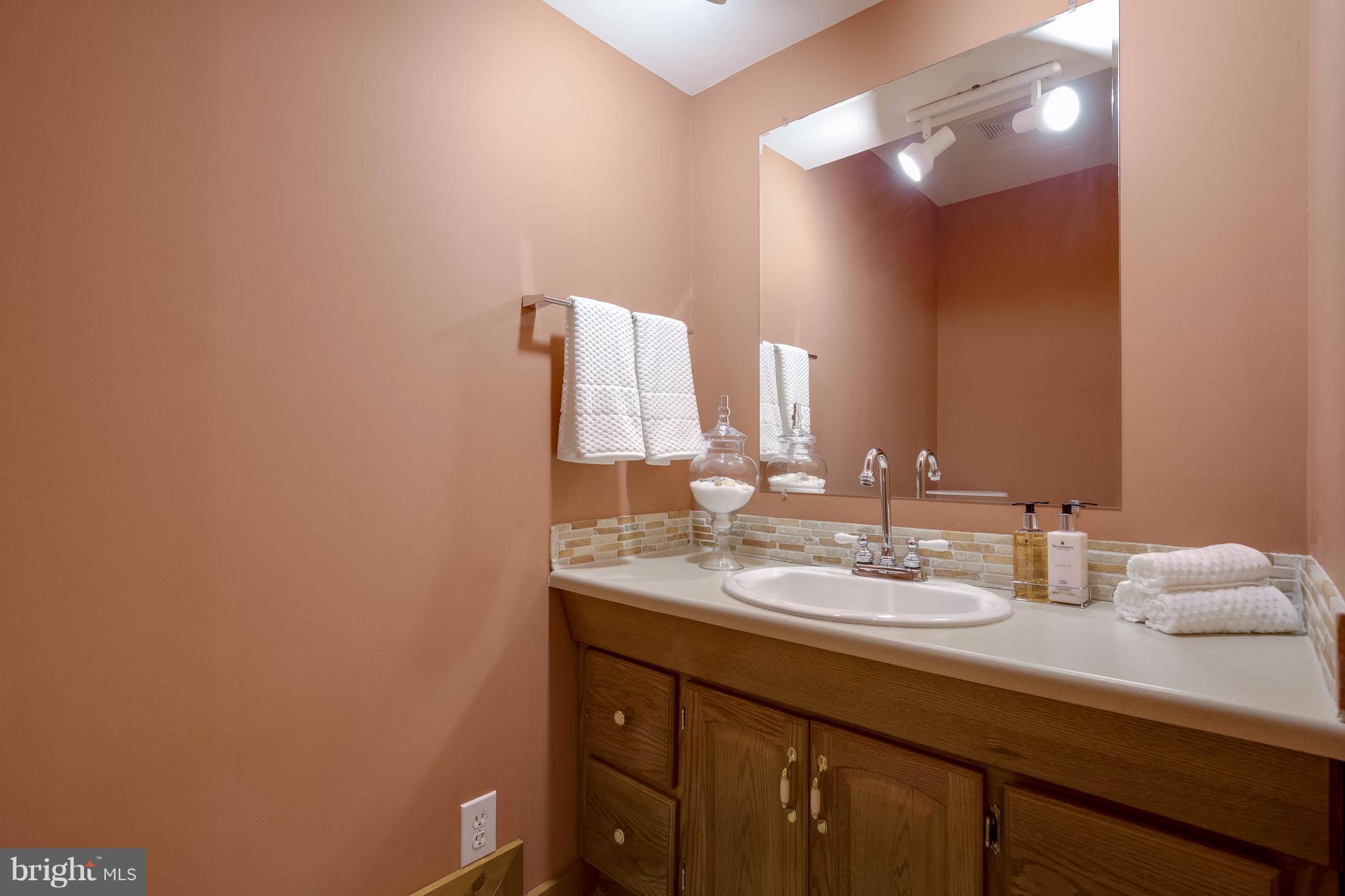 11029 Solaridge Drive Reston, VA 20191 - Photo 27 of 30 Bath