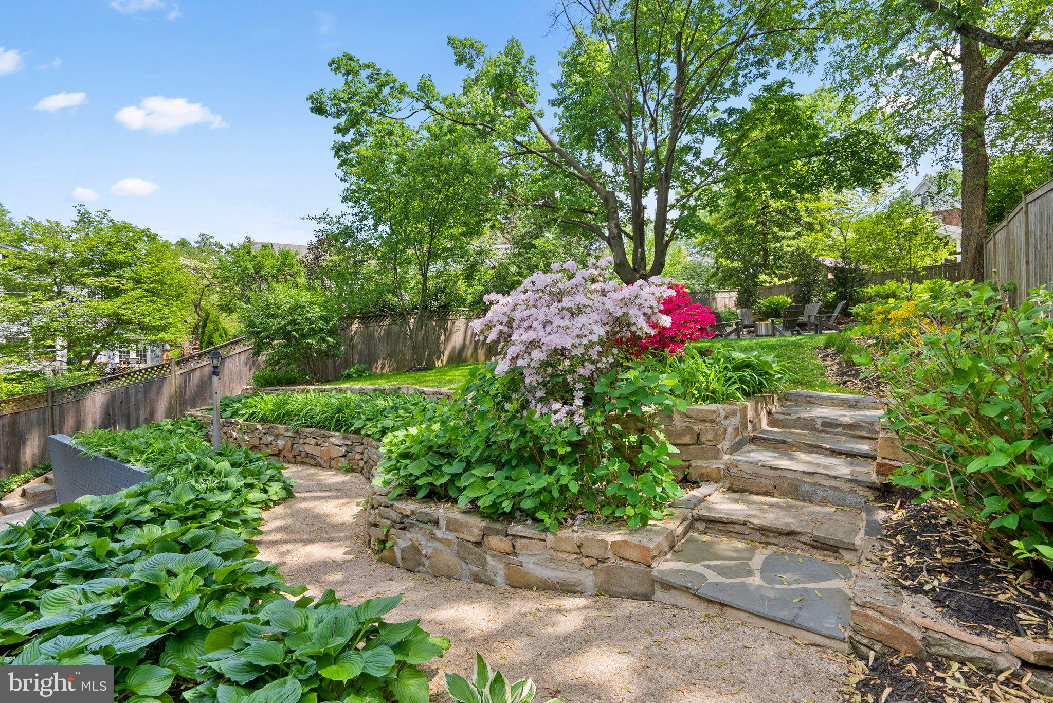 8615 Mayfair Place Silver Spring, MD 20910 - Photo 3 of 63 Gallery Image 3