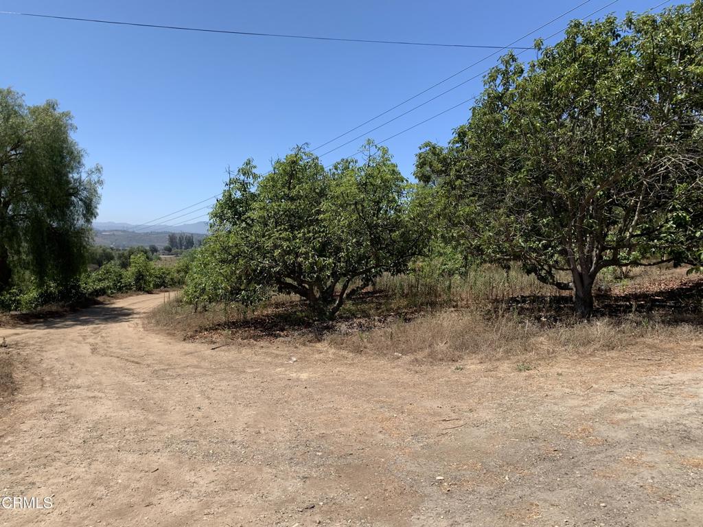 9210 Stockton Road Moorpark, CA 93021 - Photo 16 of 21