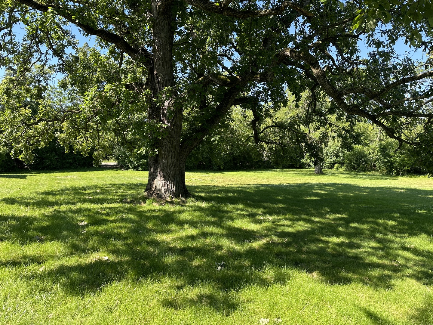 2033 Winnetka Road Northfield, IL 60093 - Photo 3 of 3 a view of swimming pool with a garden