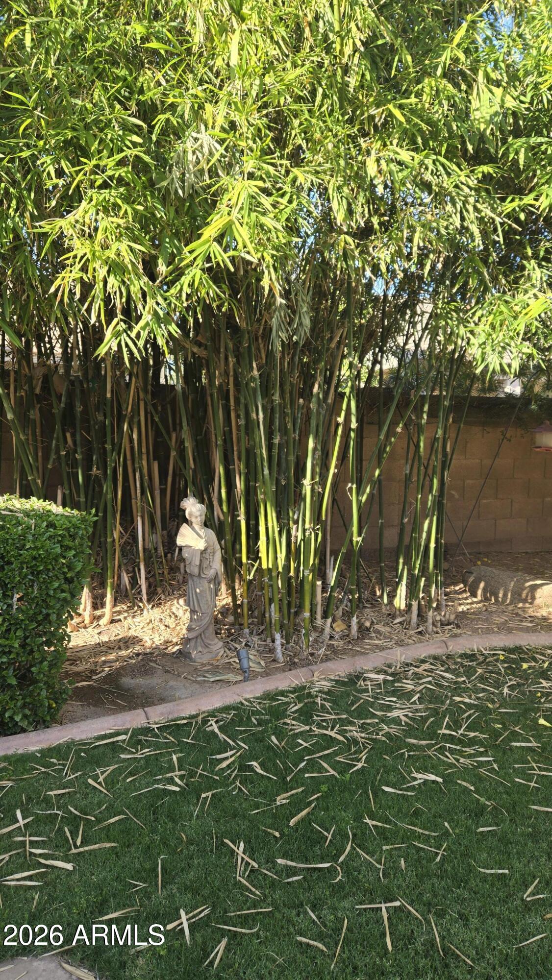 4018 East Harrison Street Gilbert, AZ 85295 - Photo 43 of 45 a view of a tree with a yard