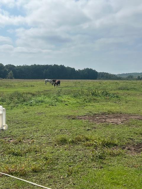 8379 Deer Valley Road Pine City, MN 55063 - Photo 16 of 29