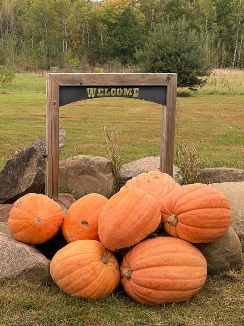 8379 Deer Valley Road Pine City, MN 55063 - Photo 7 of 29