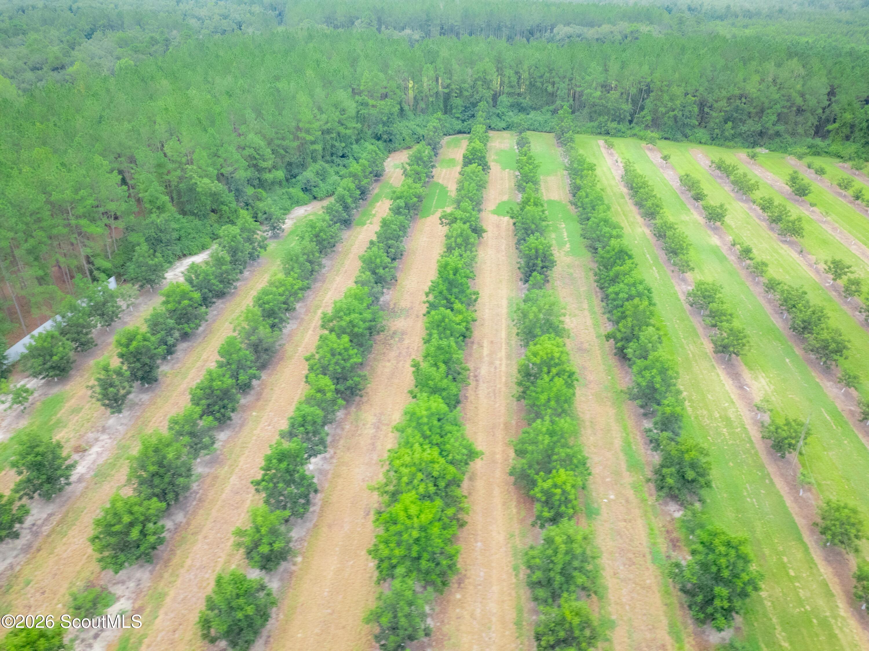 0 Deerfield Road Blackshear, GA 31516 - Photo 16 of 20 DJI_0357-HDR