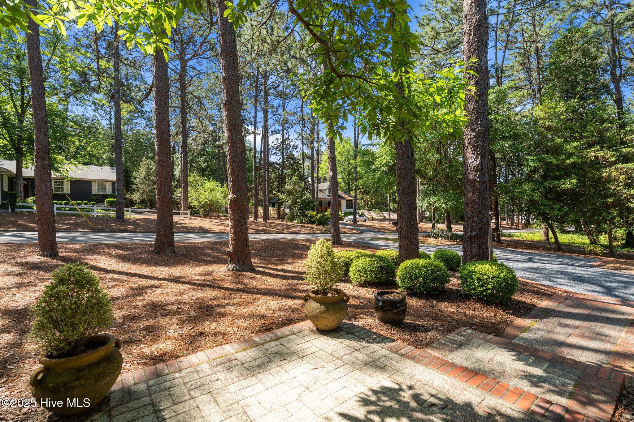 100 South Ridge Street Southern Pines, NC 28387 - Photo 19 of 51 100 S Ridge Street